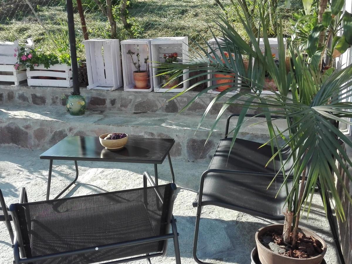 Appartement La Casa Nel Sole à Alexandrie Extérieur photo